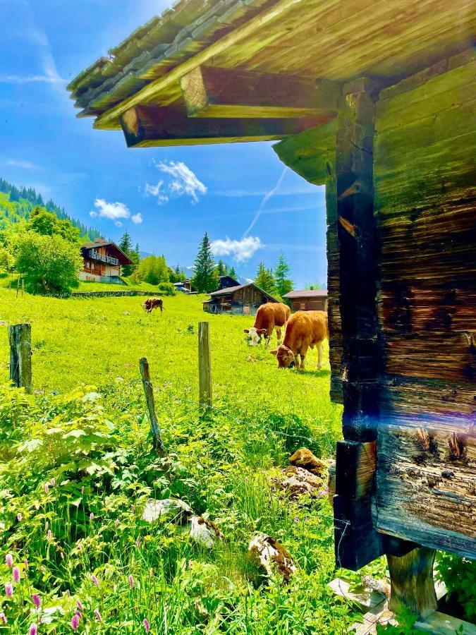 Charmant Chalet Mit See Und Bergsicht Hofstetten bei Brienz Экстерьер фото
